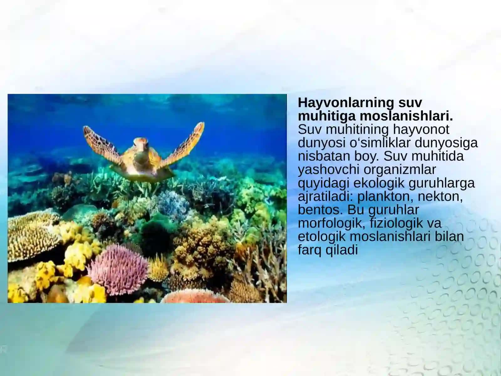 Muhitomillarivaularningtasnifi 4