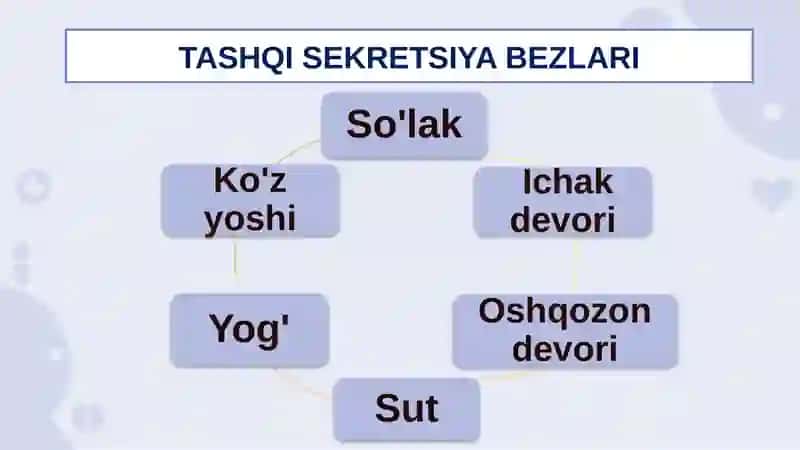 SEKRETSIYABEZLARI 4