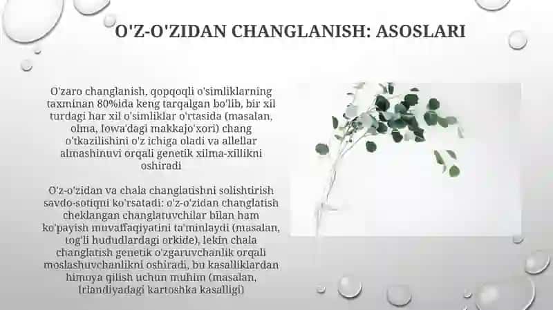 Oʻsimliklarda oʻzidan va chetdan changlanish 4