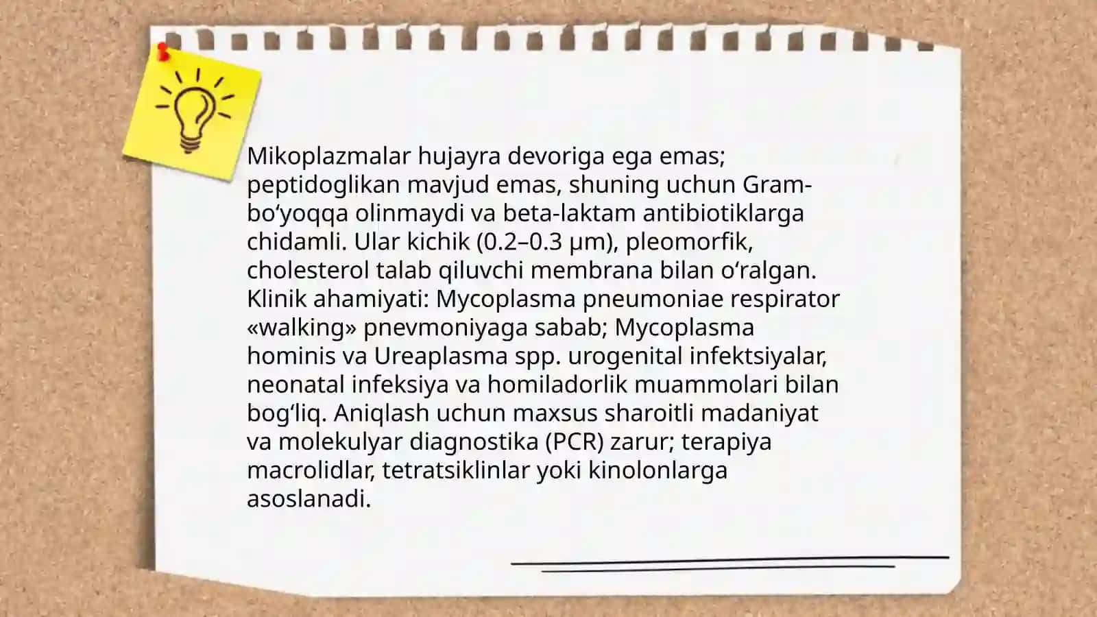 Spiroxetalar va Mikoplazmalar 4