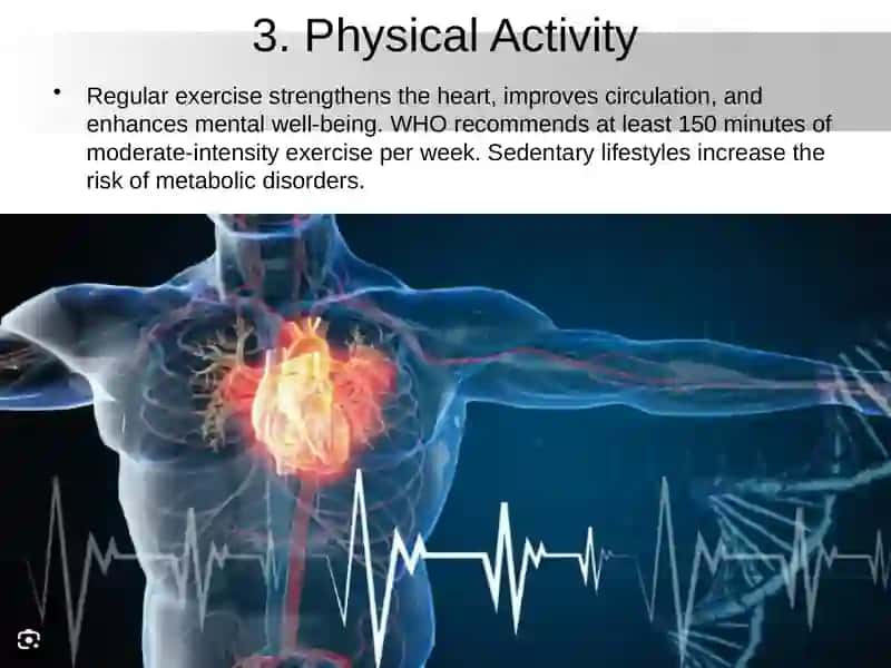The Impact of Lifestyle on Health 4