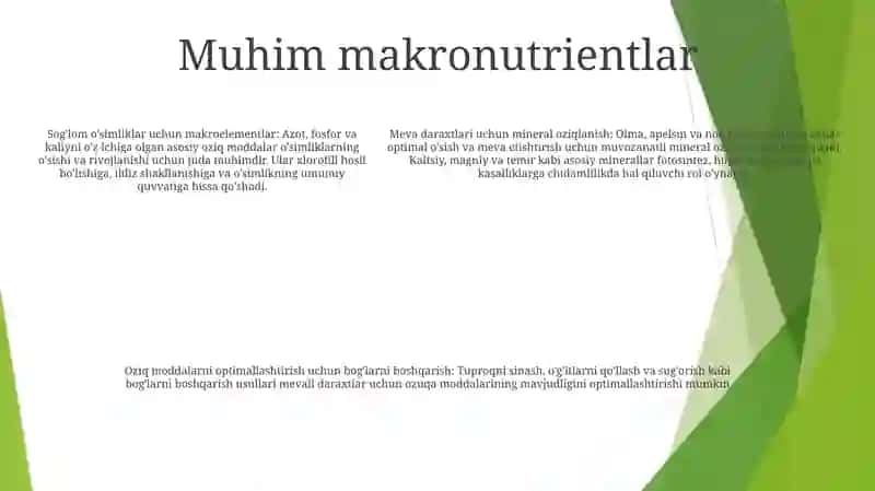 Mevali Daraxtlarning Mineral Oziqlanishi 4