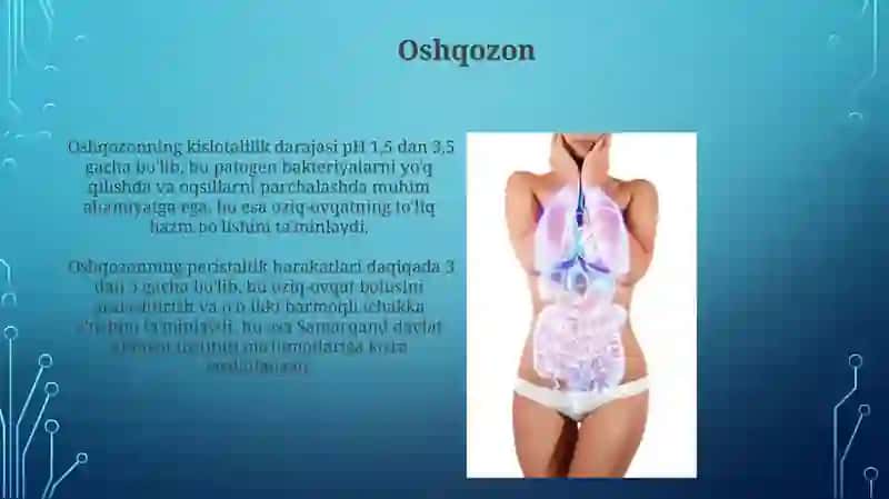 Ovqat hazm qilish organlari 4