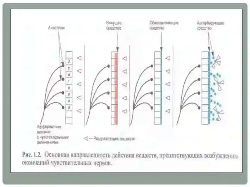 Асаб системасига таъсир этувчи    дори (нейротроп) воситалар 4