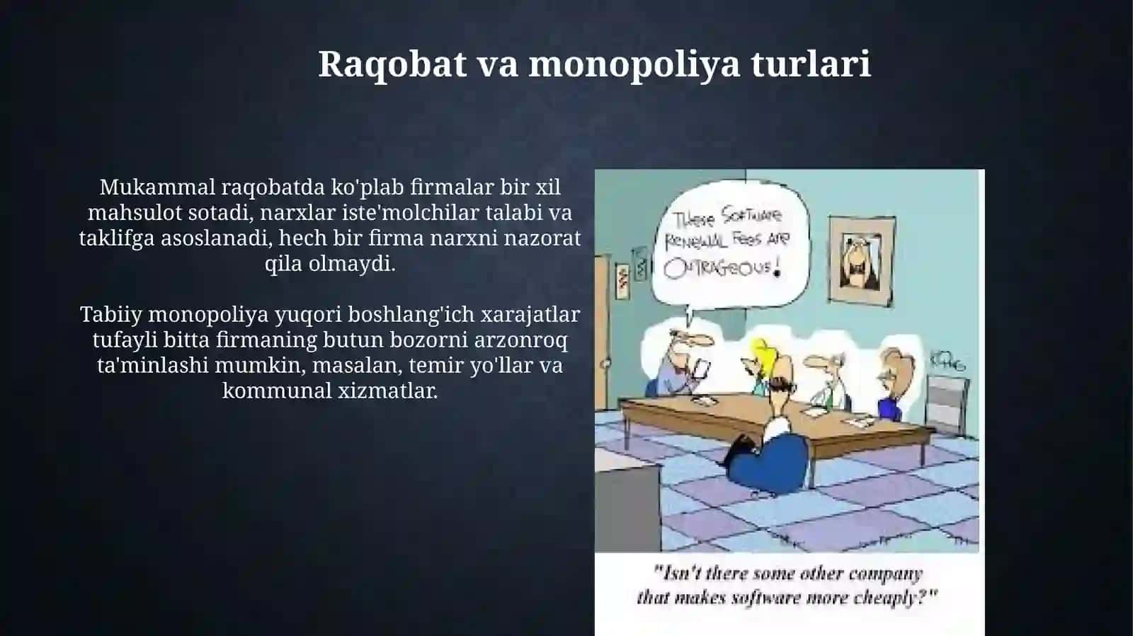 Raqobat va yakkahokimlik 4