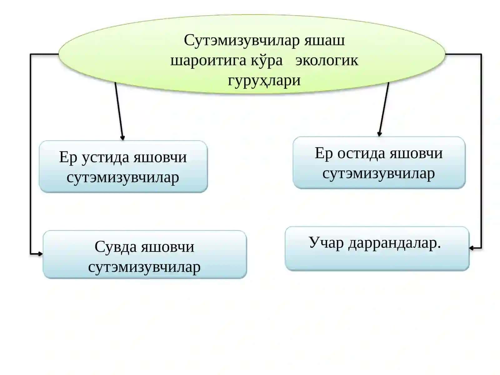 Сутэмизувчиларнинг Экологияси 4