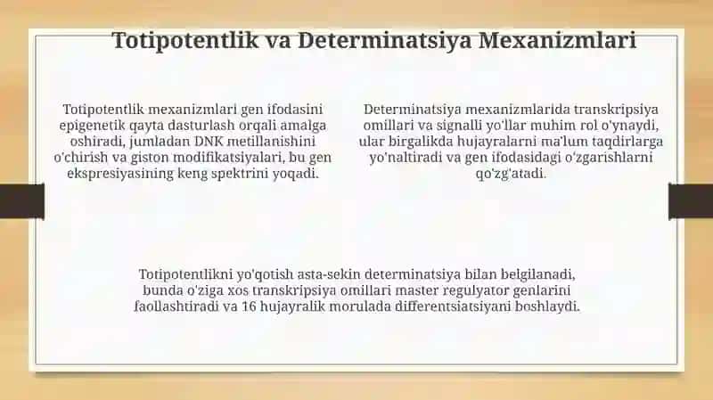 Totipotentlik va Determinatsiya 4