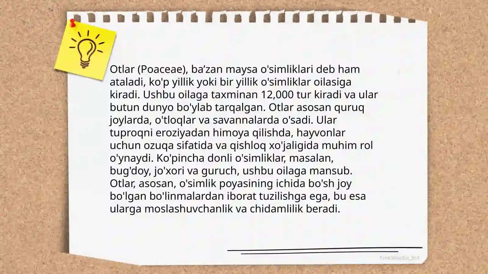 So'z turkumlari tasnifi masalasi 4