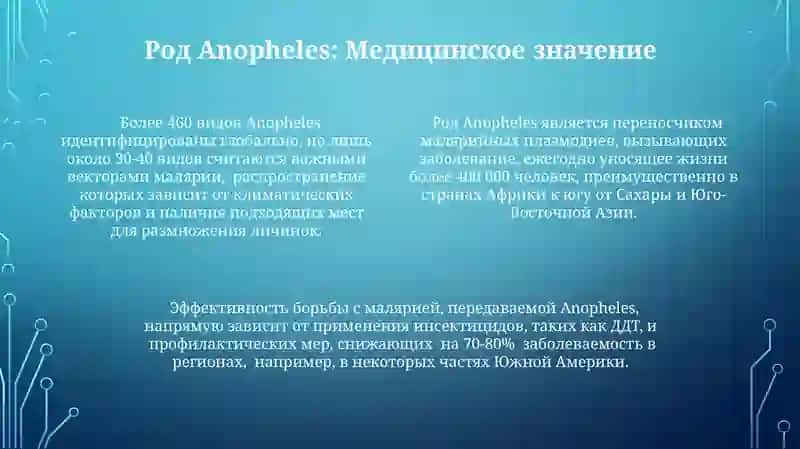 Биологические особенности родов Anopheles, Culex и Aedes 4