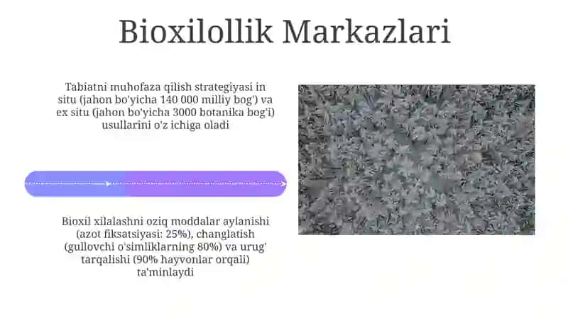 Kompyuter 4