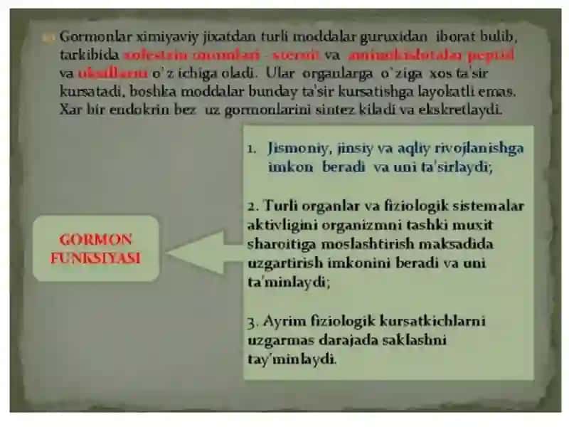 Ayrisimon bezlar haqida tushuncha 4