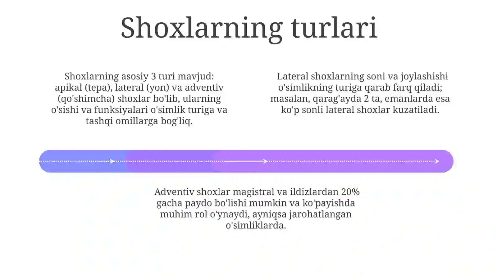 Introdutsent daraxt va butalar 4