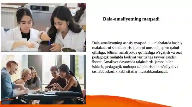 Dala-amaliyotning mazmuni 4