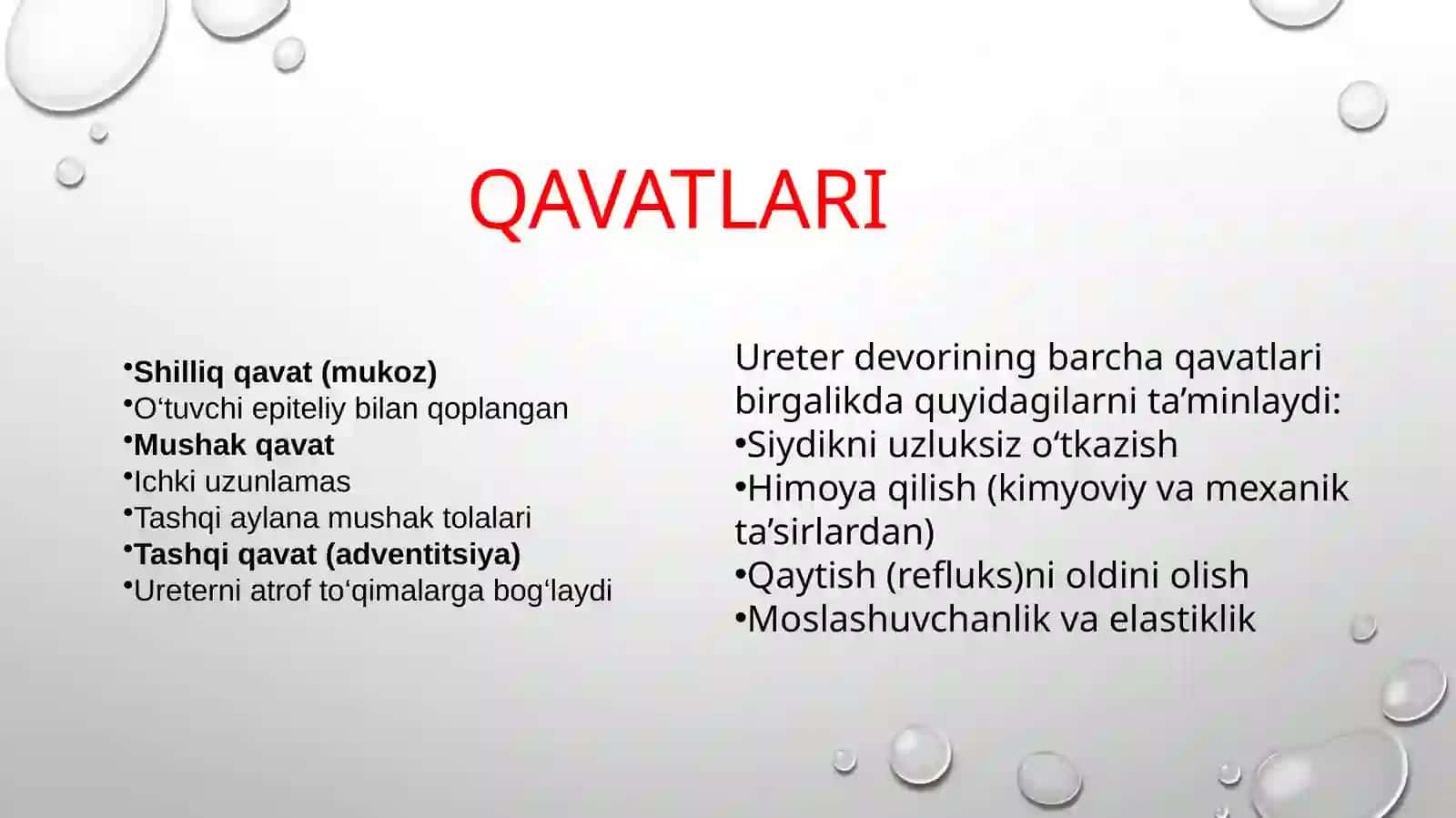 Siydikyo’llari(ureterlar) 4