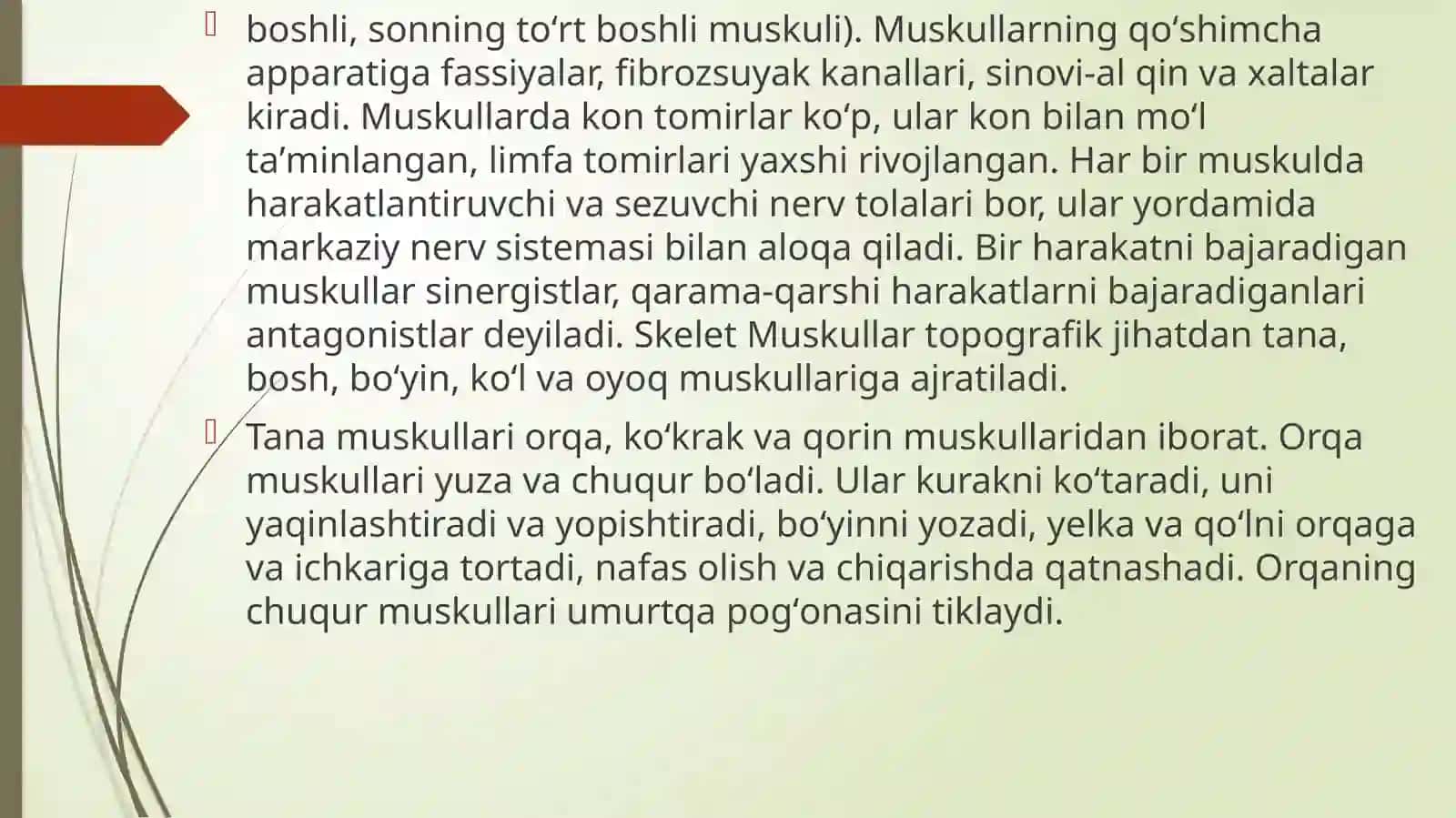 Muskullar faoliyati va bolaning jismoniy imkoniyatlari 4