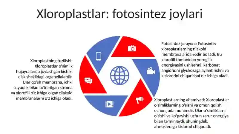 Fotosintez Va Uning Mohiyati 4