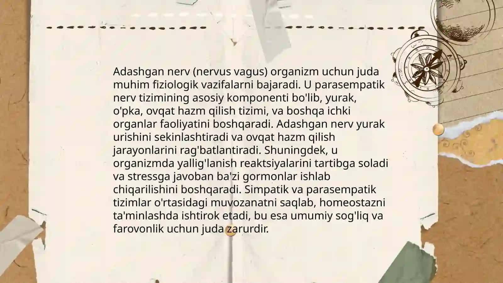 Adashgan nerv. Adashgan nervning oziga xosligi 4