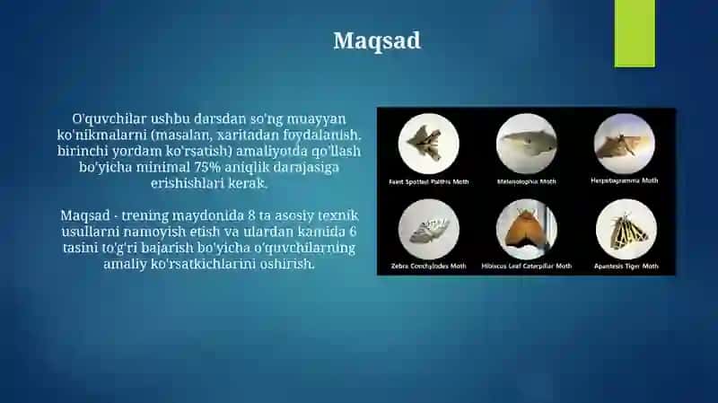 "Komanda bilan ishlash asoslari" 4