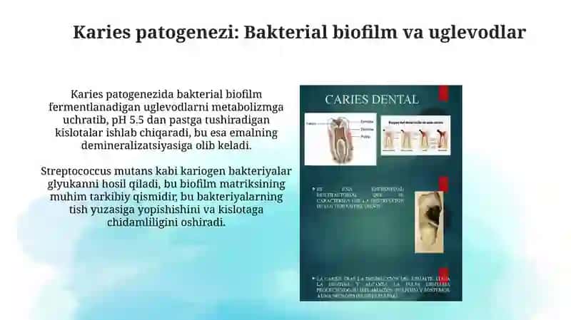Karies, Pulpit va Nekroz Sabablari 4