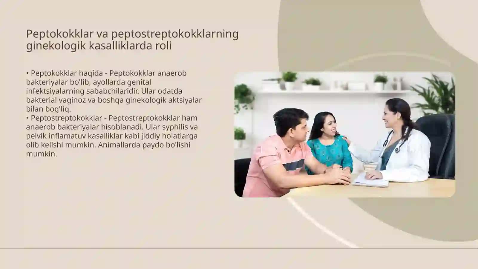Shartli patogen anaerob kokklarni xususiyatlari 4