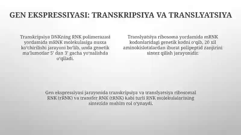 Genvauningtuzilishi 4