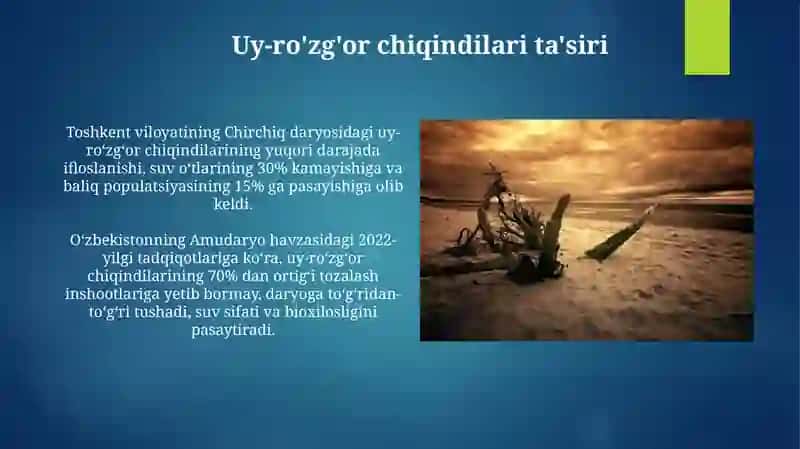 Daryolarning loyqa oqiziqlari 4