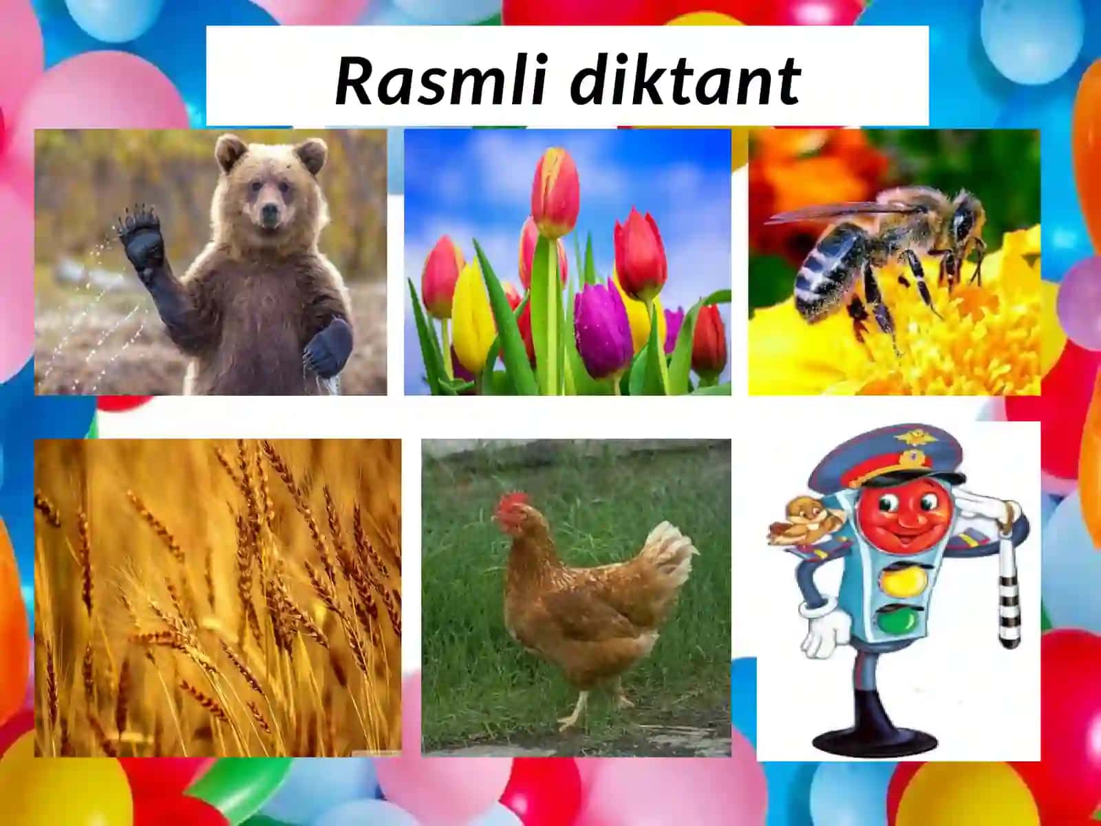 ONATILI 4