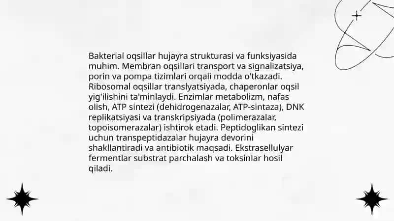 Bakteriya hujayrasining kimyoviy tarkibi 4