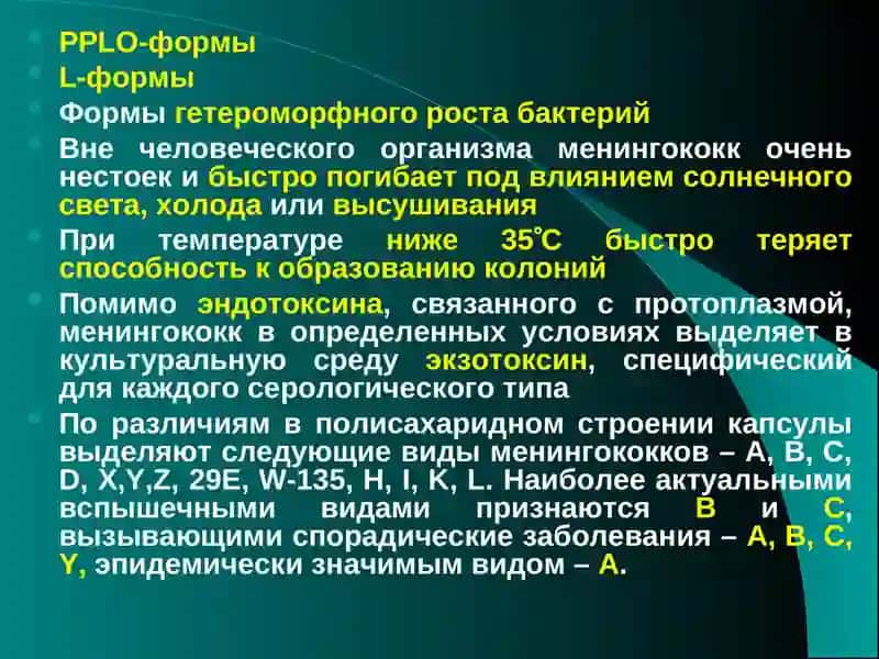 Менингококковая инфекция 4