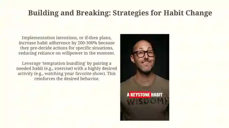 Understanding Habits: The Science and Structure 4