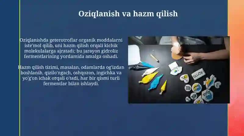 Hayot faoliyatining turlari 4