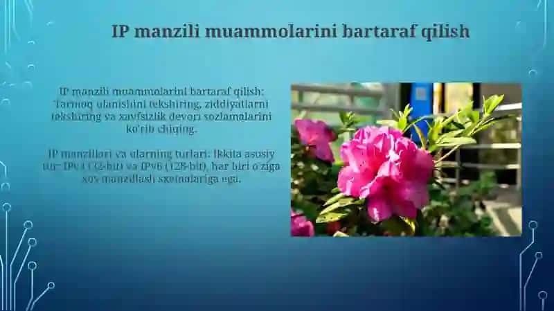 IP manzillar va ularning turi 4