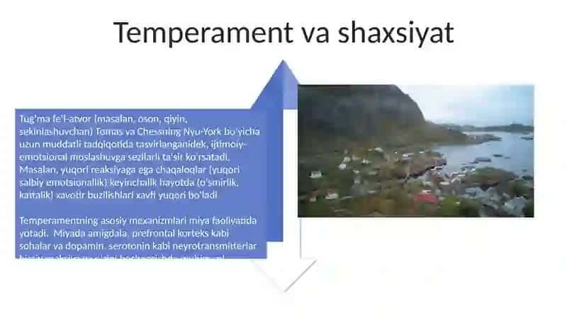Temperament Psixobiologik Asos 4