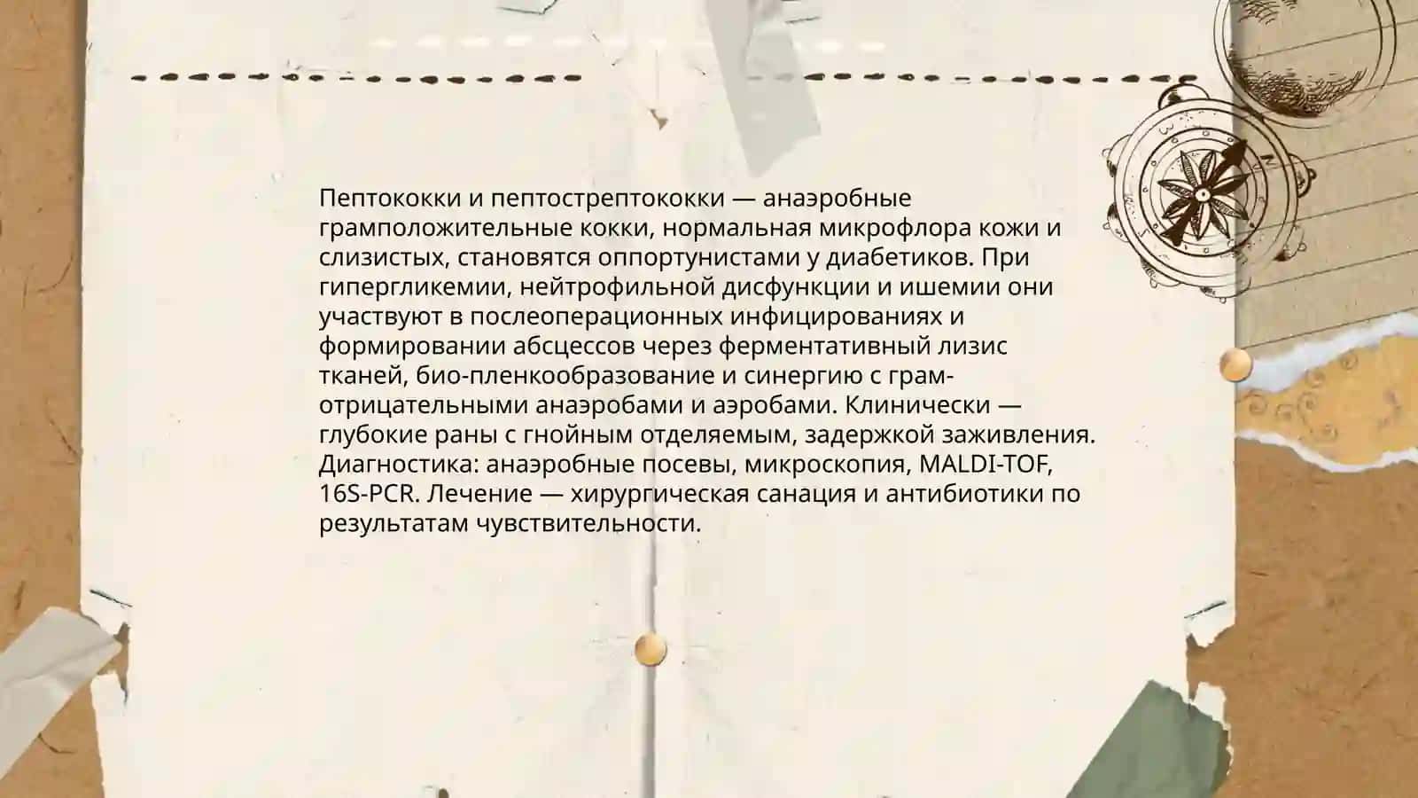Значение условно-патогенных анаэробных кокков 4