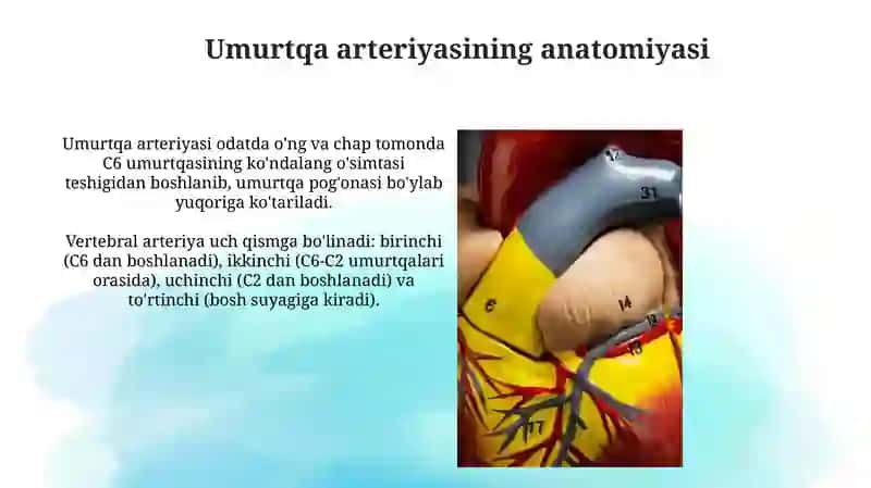 Umurtqa arteriyasi shikastlanishlari 4