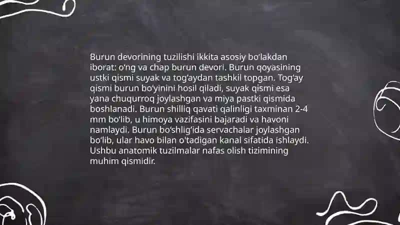 Burun bo'shlig'i anatomiyasi 4