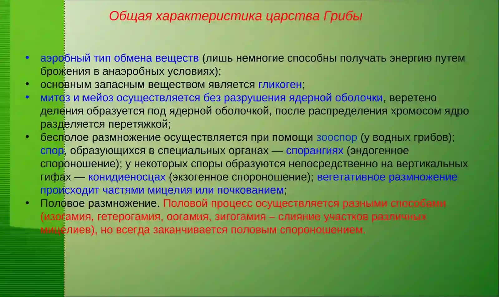 Общая характеристика царства грибы 4