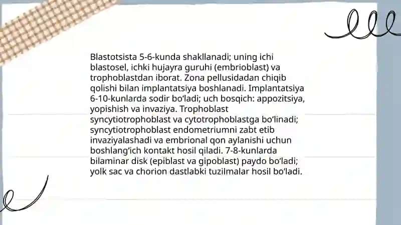 Odam embriogenezining qaltis davrlari 4