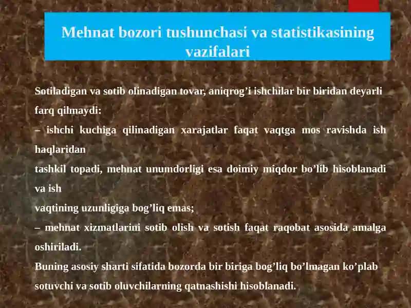 Mehnat Bozori Statistikasi 4