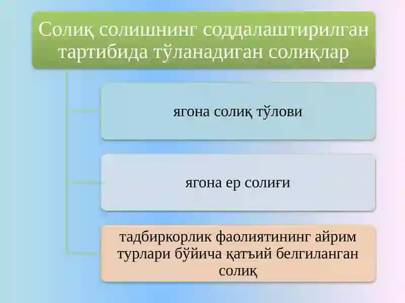 СОЛИҚЛАР ВА МАЖБУРИЙ ТЎЛОВЛАР АУДИТИ 4