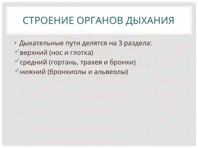 Пропедевтика детских болезней 4