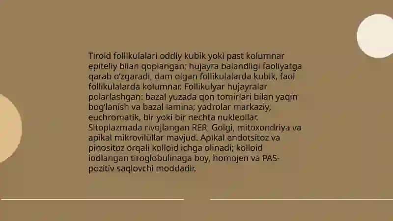 Endokrin bezlarning mikro tuzilishi 4
