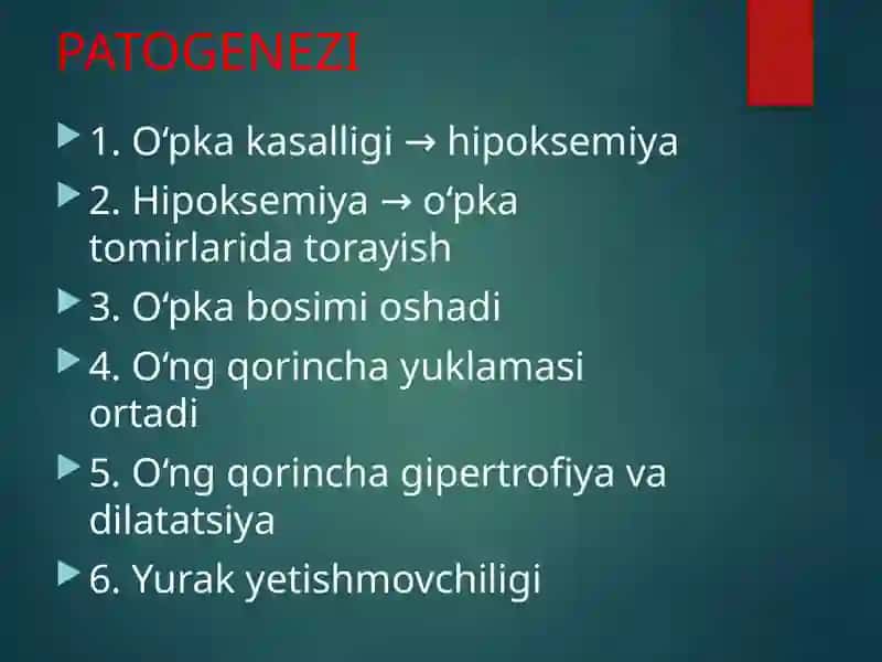 Surunkali O‘pka Yuragi (SO‘Y) 4