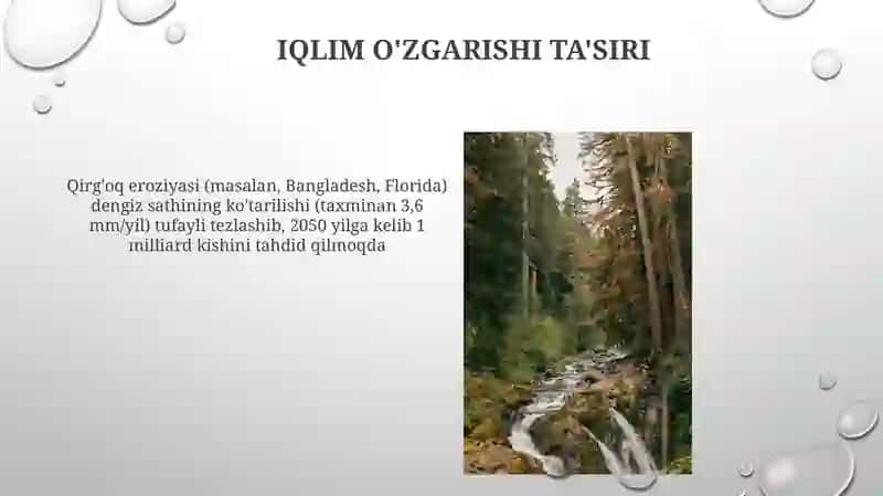 Orol va ona tabiatni asrash zarurati 4