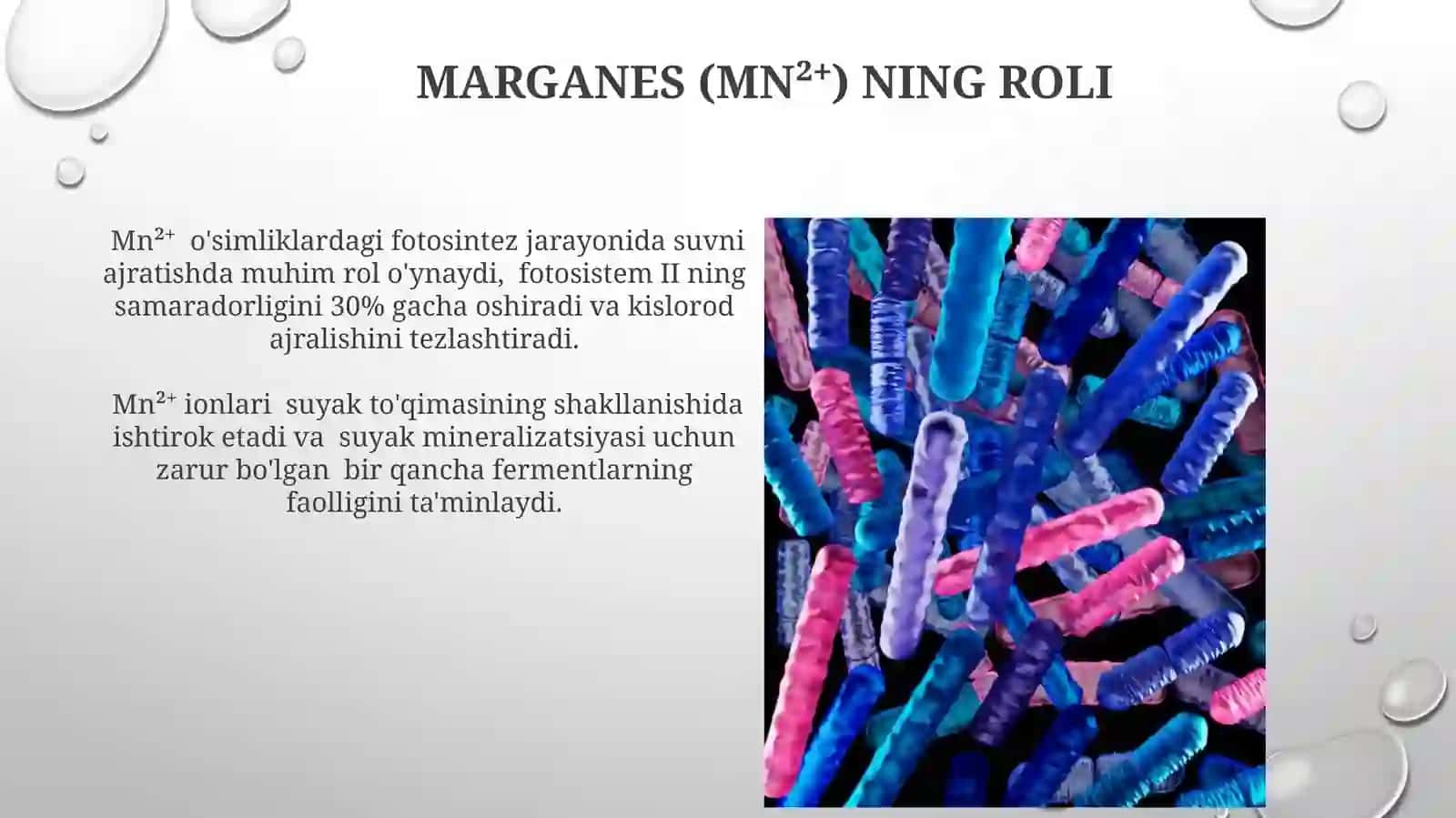 Kationlarning biologik ahamiyati 4