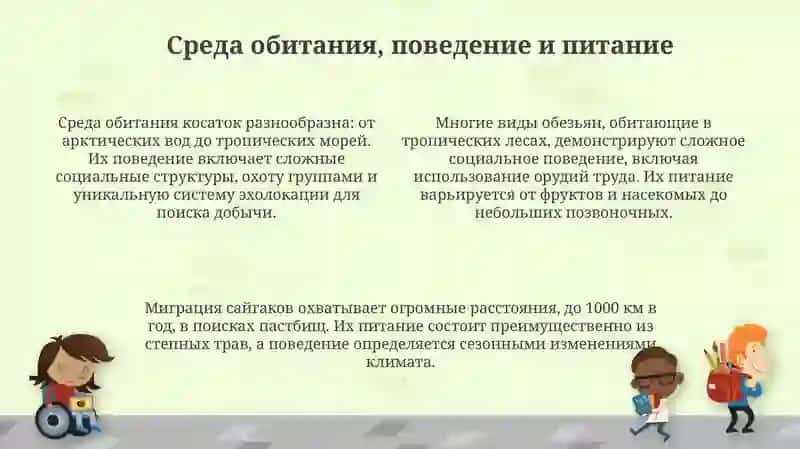 Презентация "Дикие животные" 4
