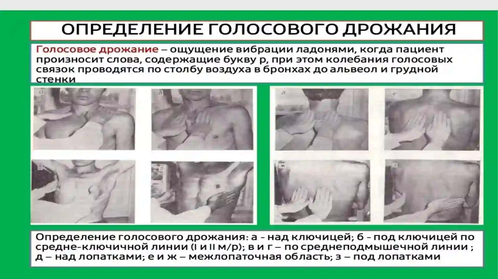 Методы обследования органов дыхания 4