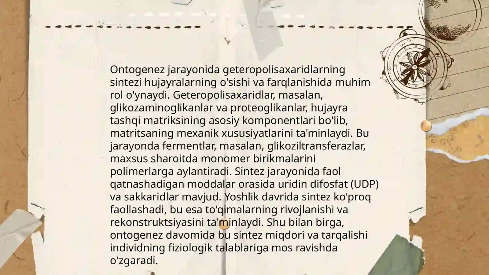 Geteropolisaxaridlarni ontogenezi va kasalliklarida oʻzgarishi 4