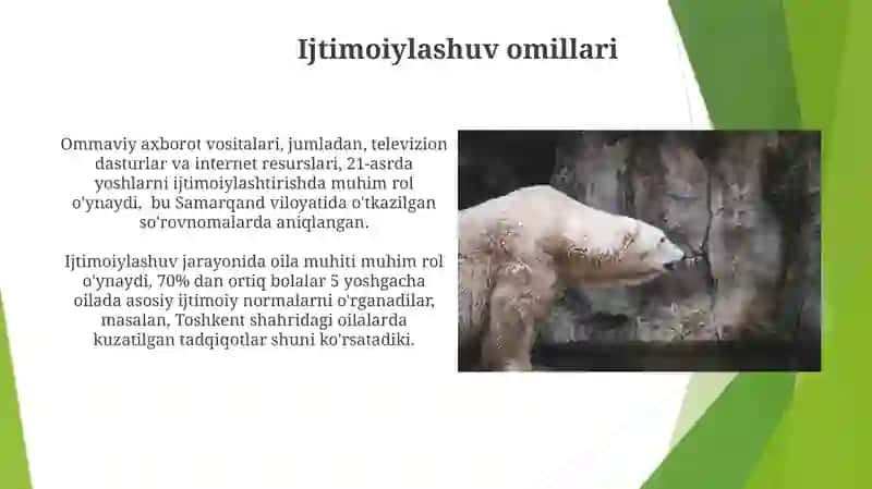 Shaxs ijtimoiylashuvi va yoʻnalganligi 4