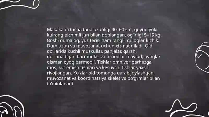 Makaka 4
